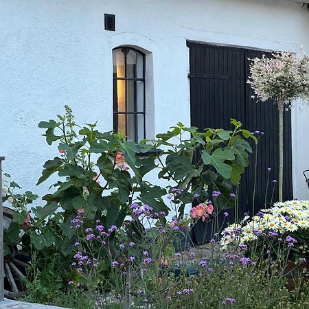 Backadal Gard Bnb Ystad Buitenkant foto