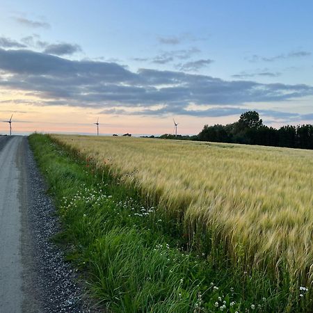Backadal Gard Bnb Ystad Buitenkant foto