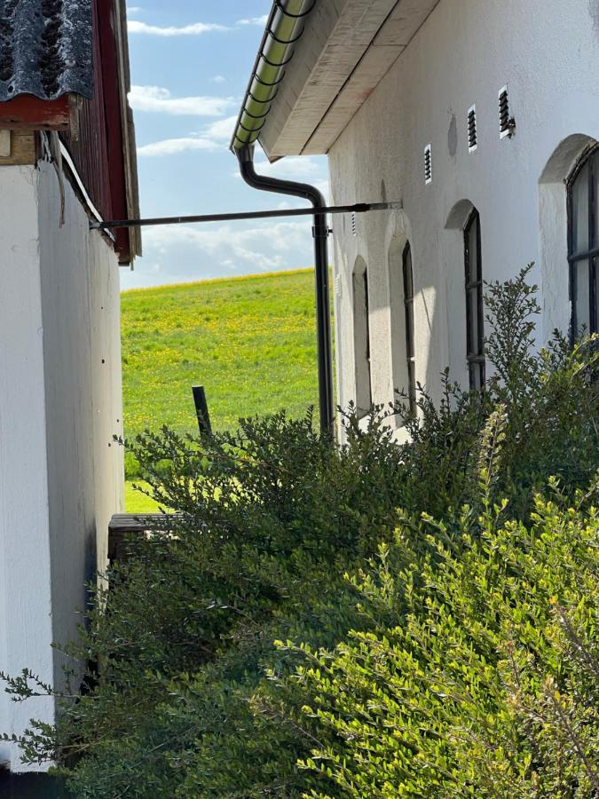 Backadal Gard Bnb Ystad Buitenkant foto