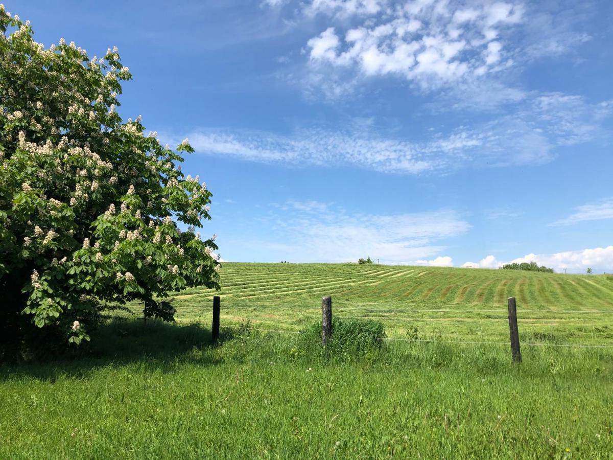 Backadal Gard Bnb Ystad Buitenkant foto