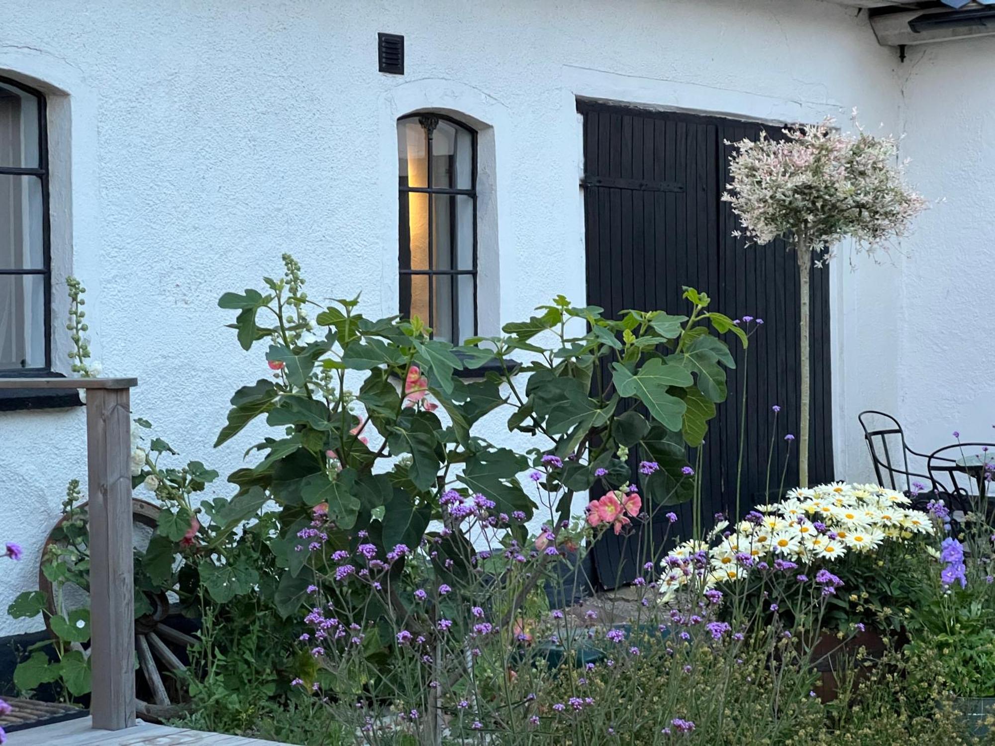 Backadal Gard Bnb Ystad Buitenkant foto