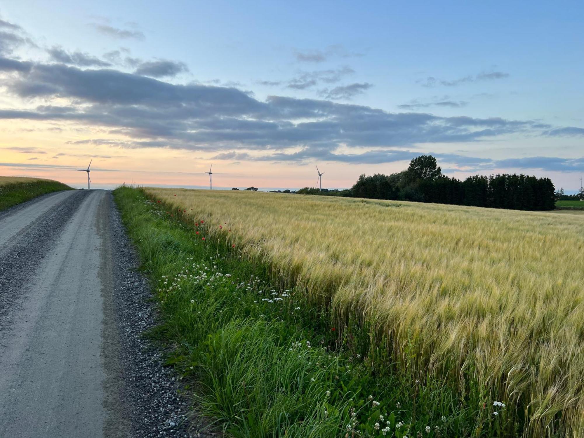 Backadal Gard Bnb Ystad Buitenkant foto
